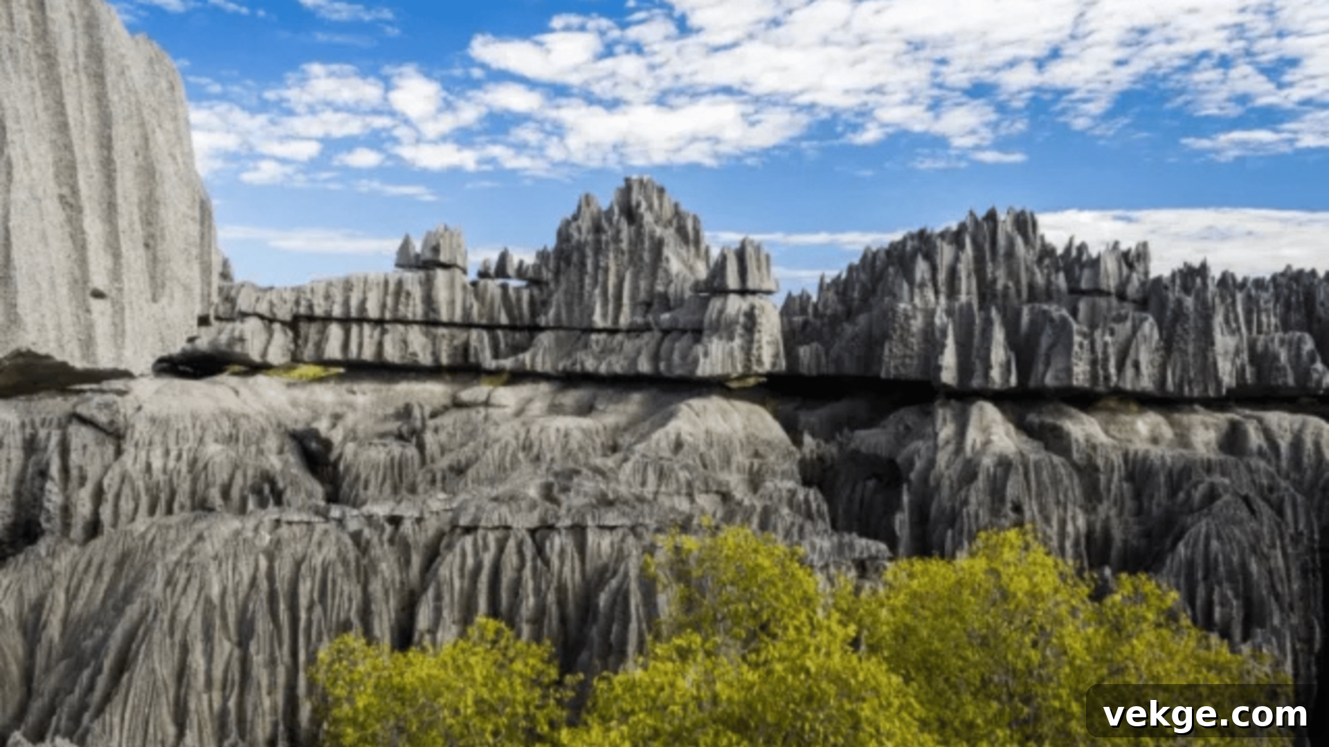 Tsingy de Bemaraha - Limestone Forest in Madagascar