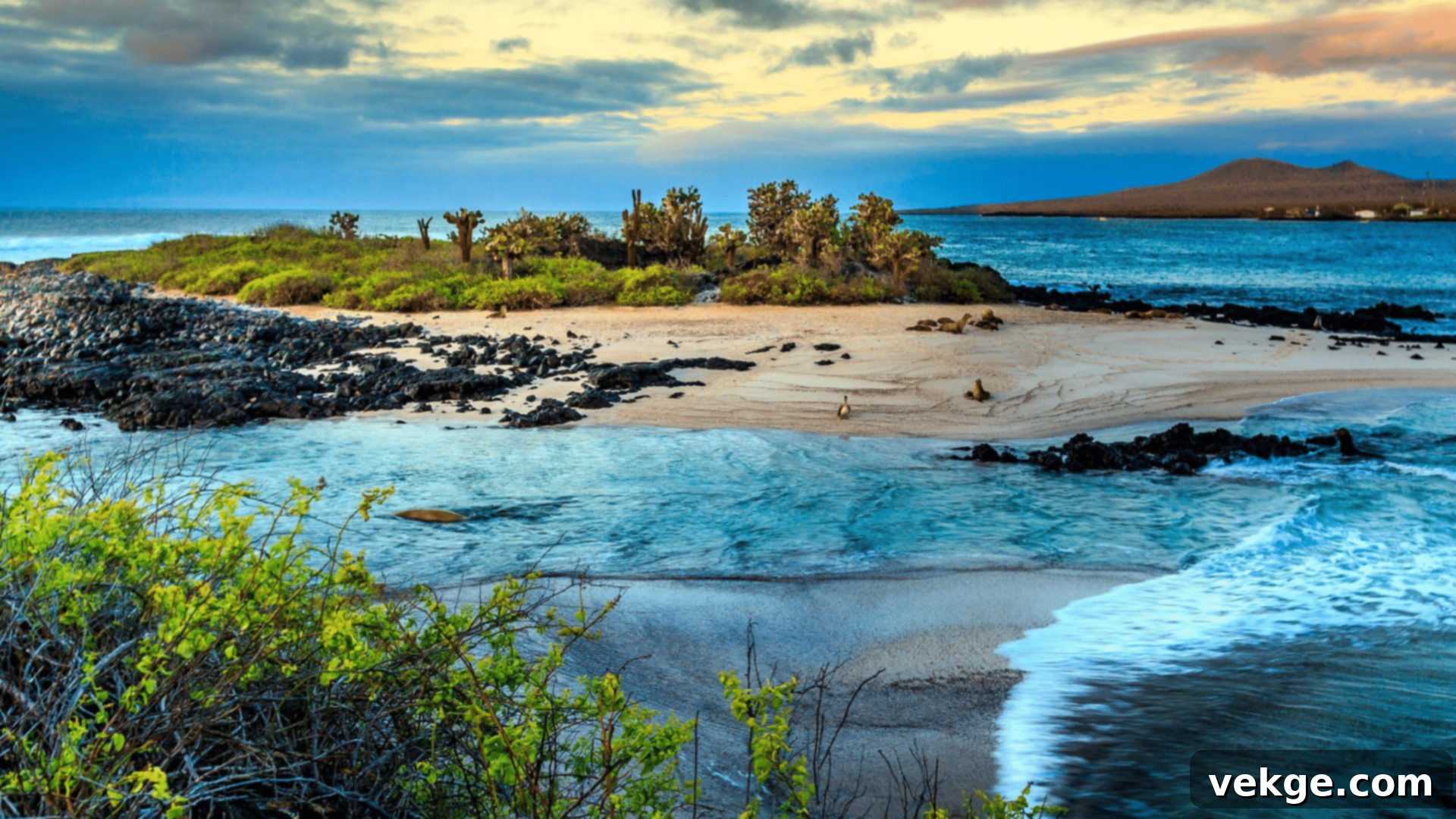 Galapagos_Islands