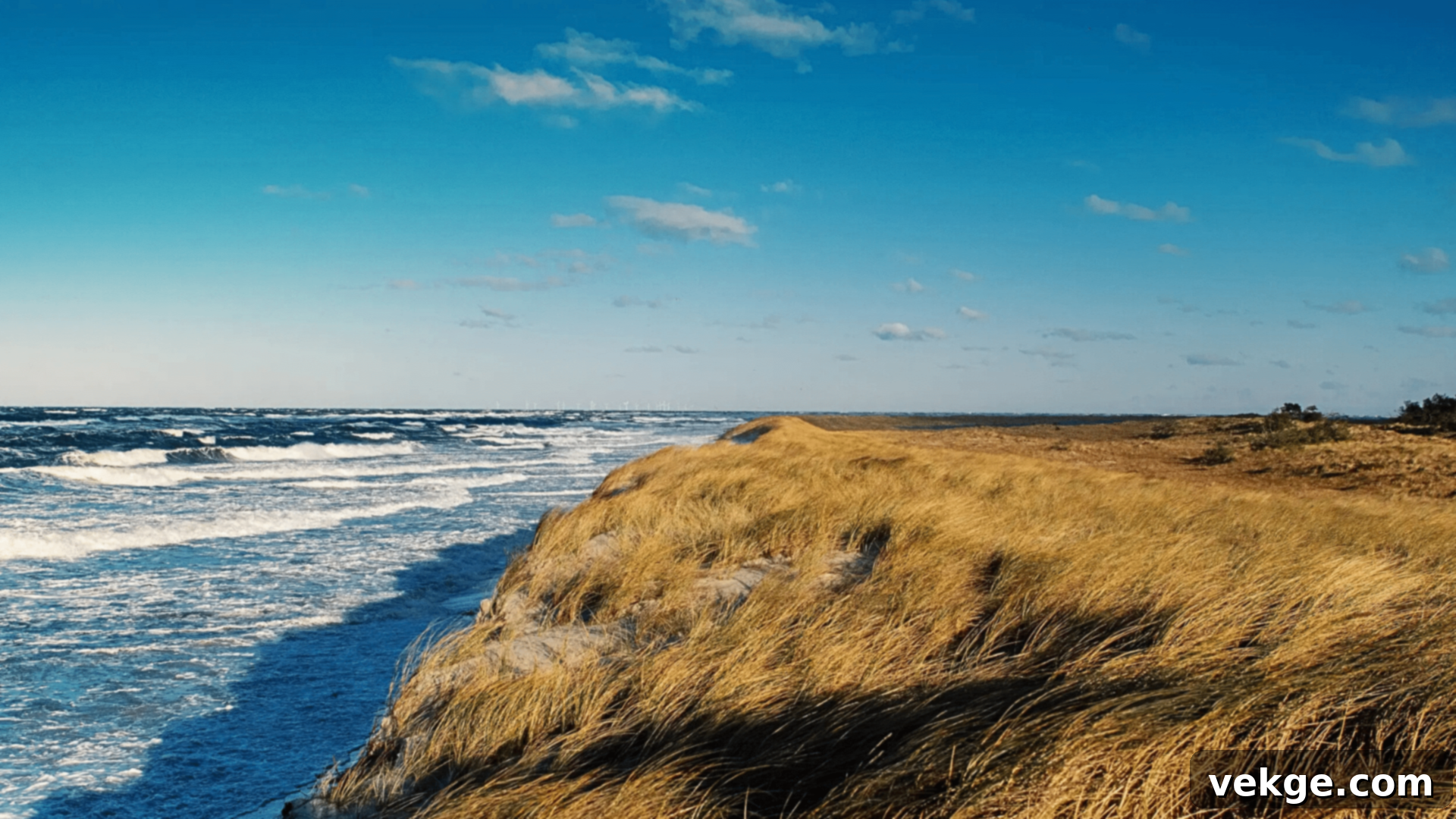 The_Baltic_Sea_Coast