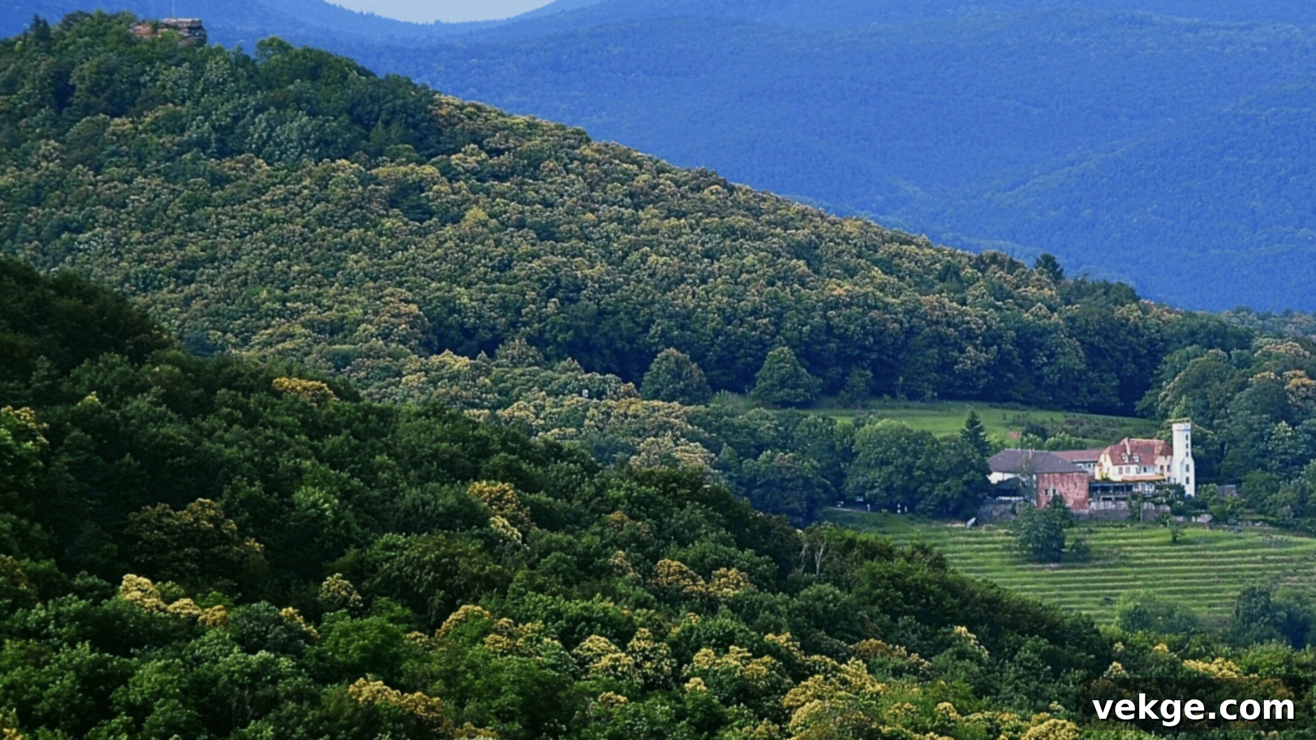 The_Palatinate_Forest_Pfalz