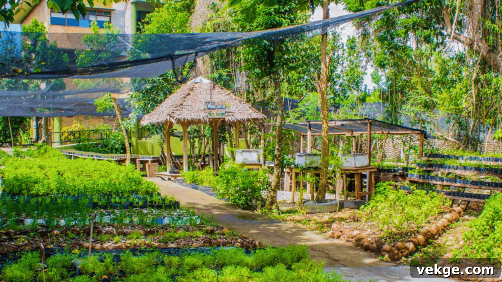 Bohol_Bee_Farm