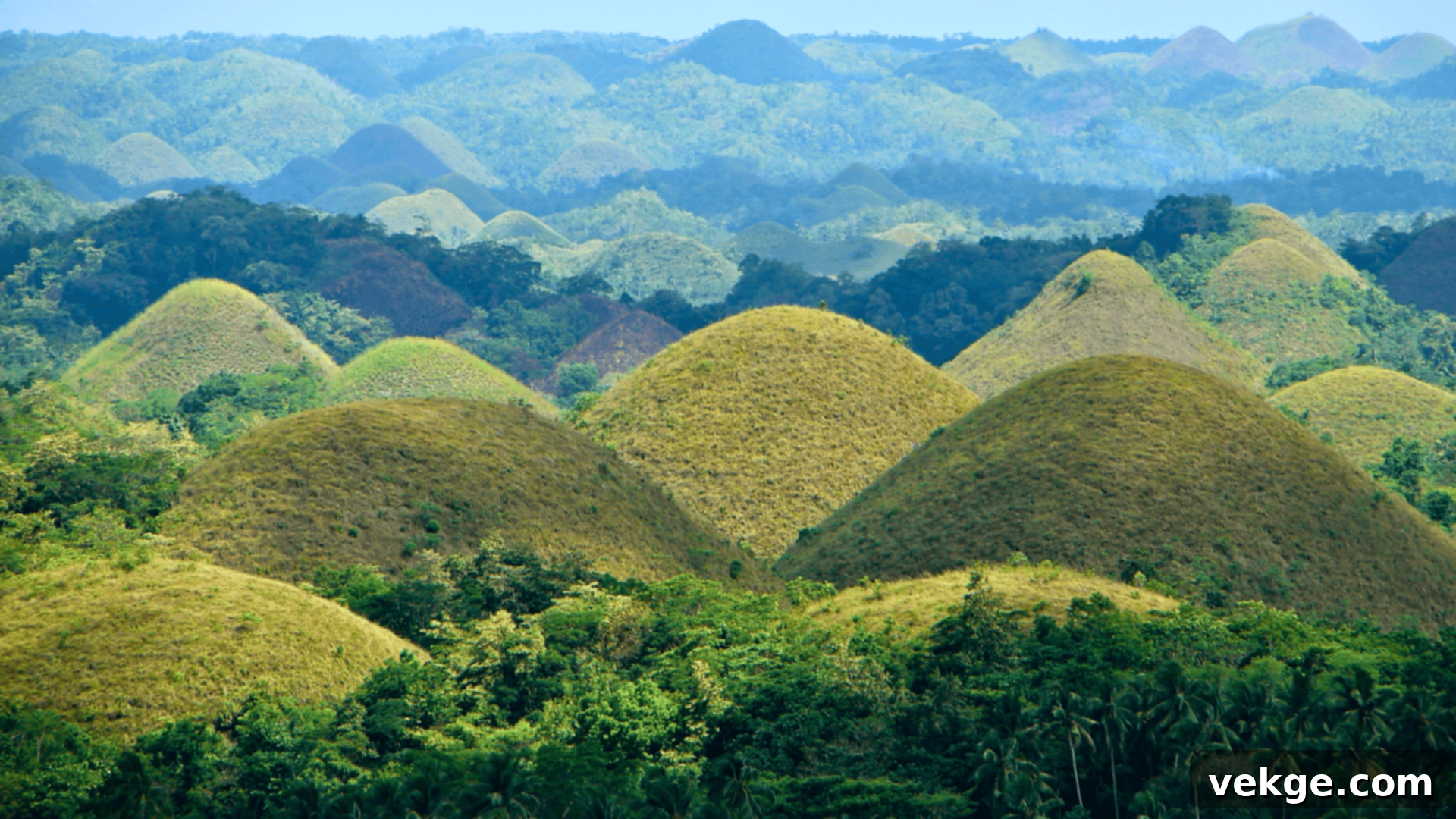 Chocolate_Hills
