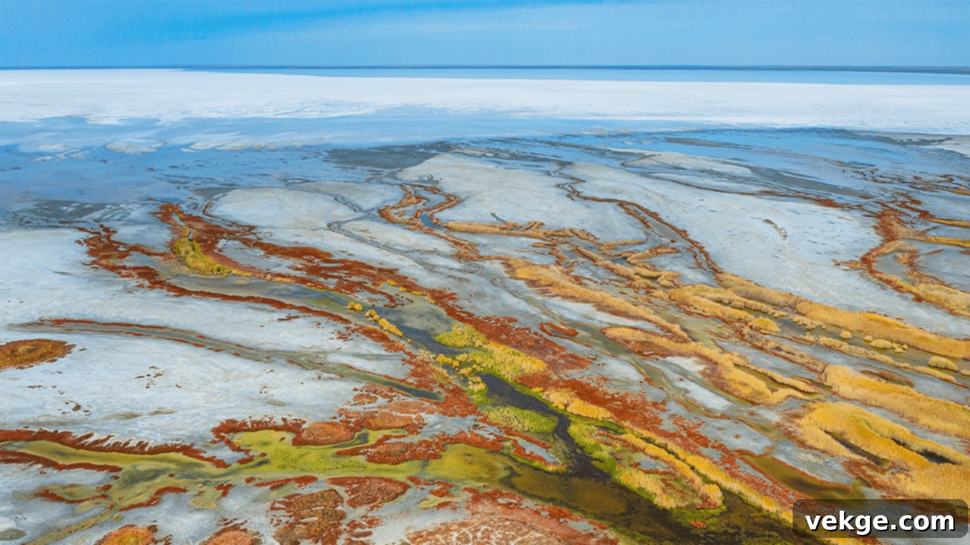 Elton Lake - Pink Salty Lake in Volgograd Region
