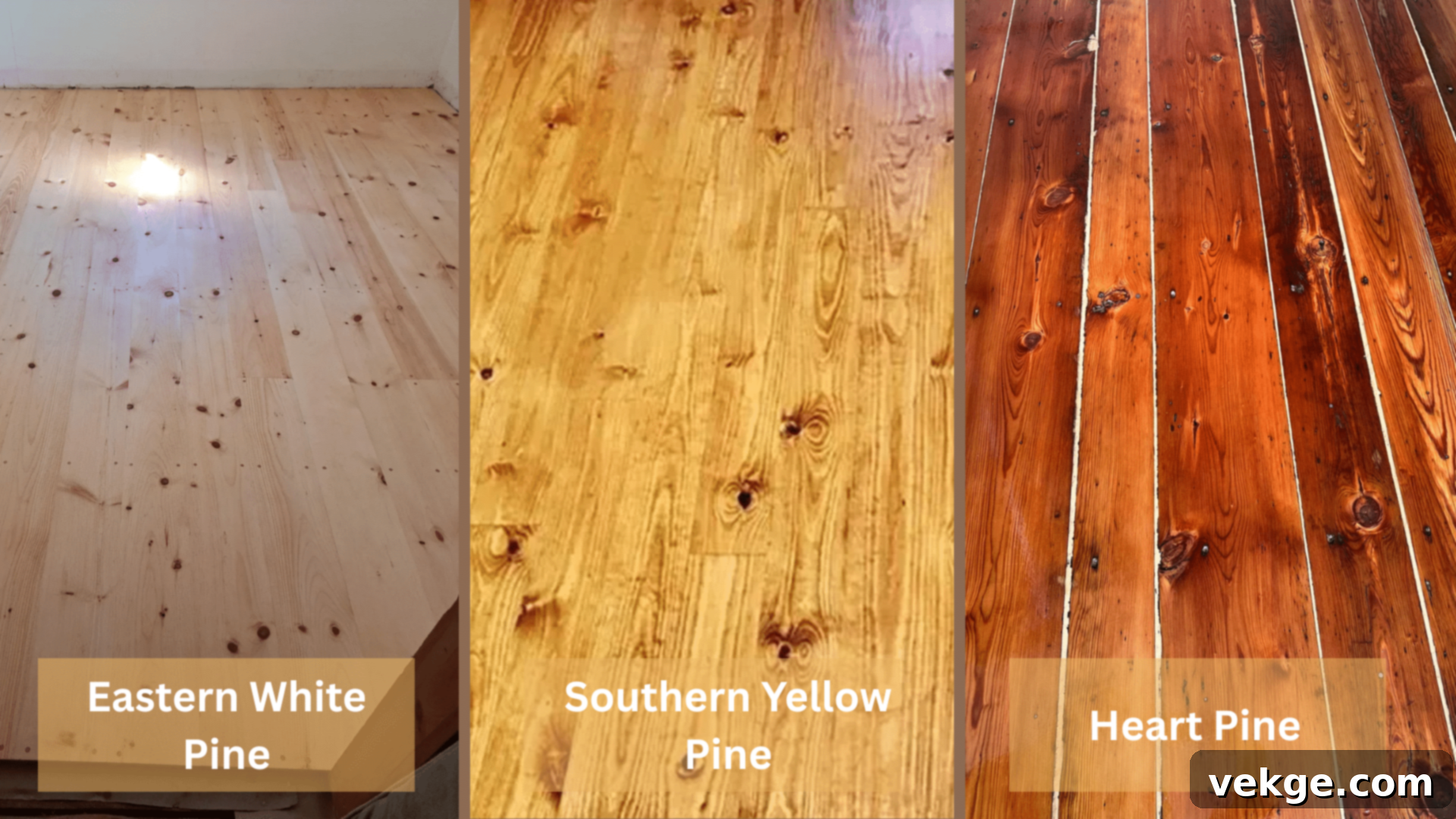Types of Pine for Flooring: Eastern White Pine, Southern Yellow Pine, Heart Pine