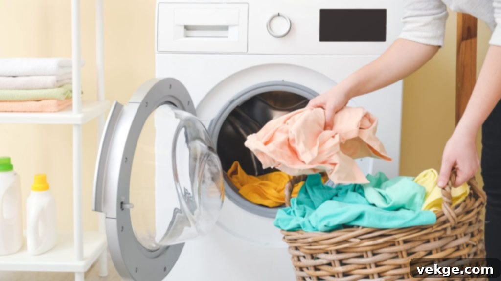 Modern all-in-one washer dryer combo in a stylish laundry room, symbolizing efficient home living.