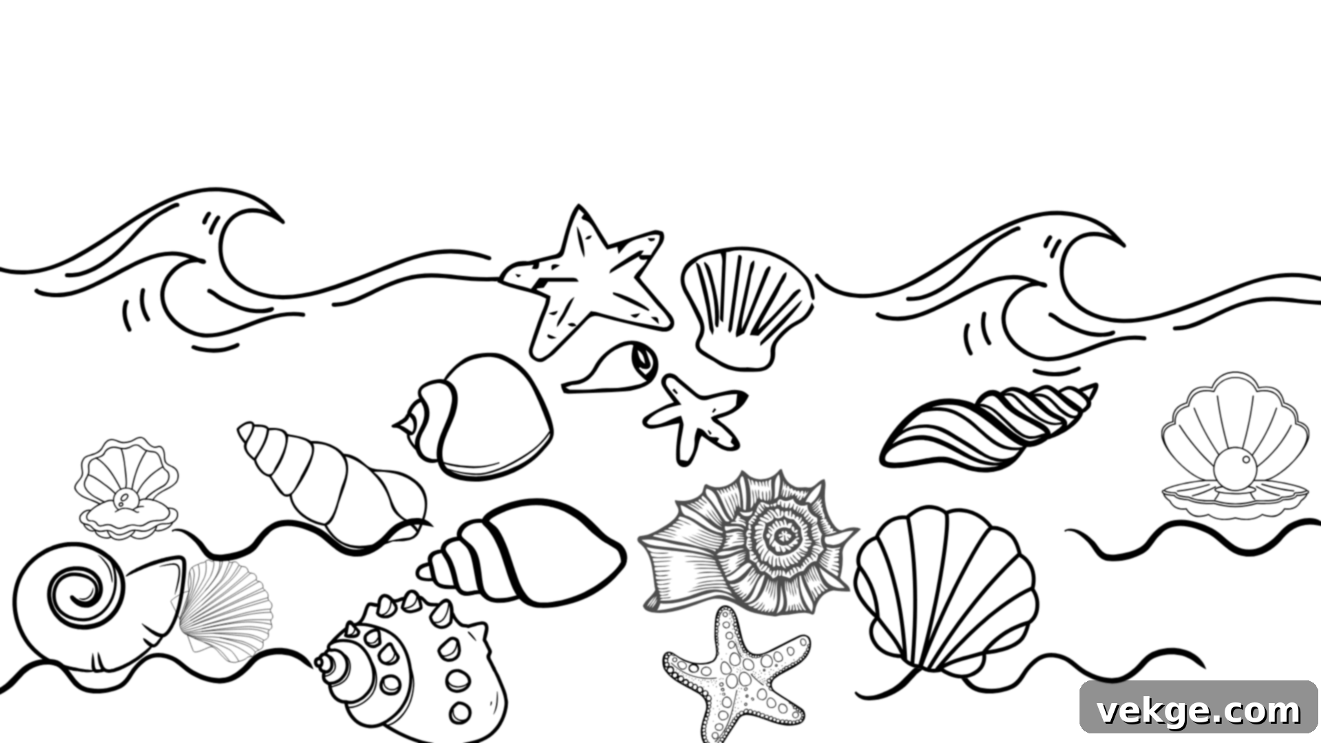 Ariel's Seashell Collection