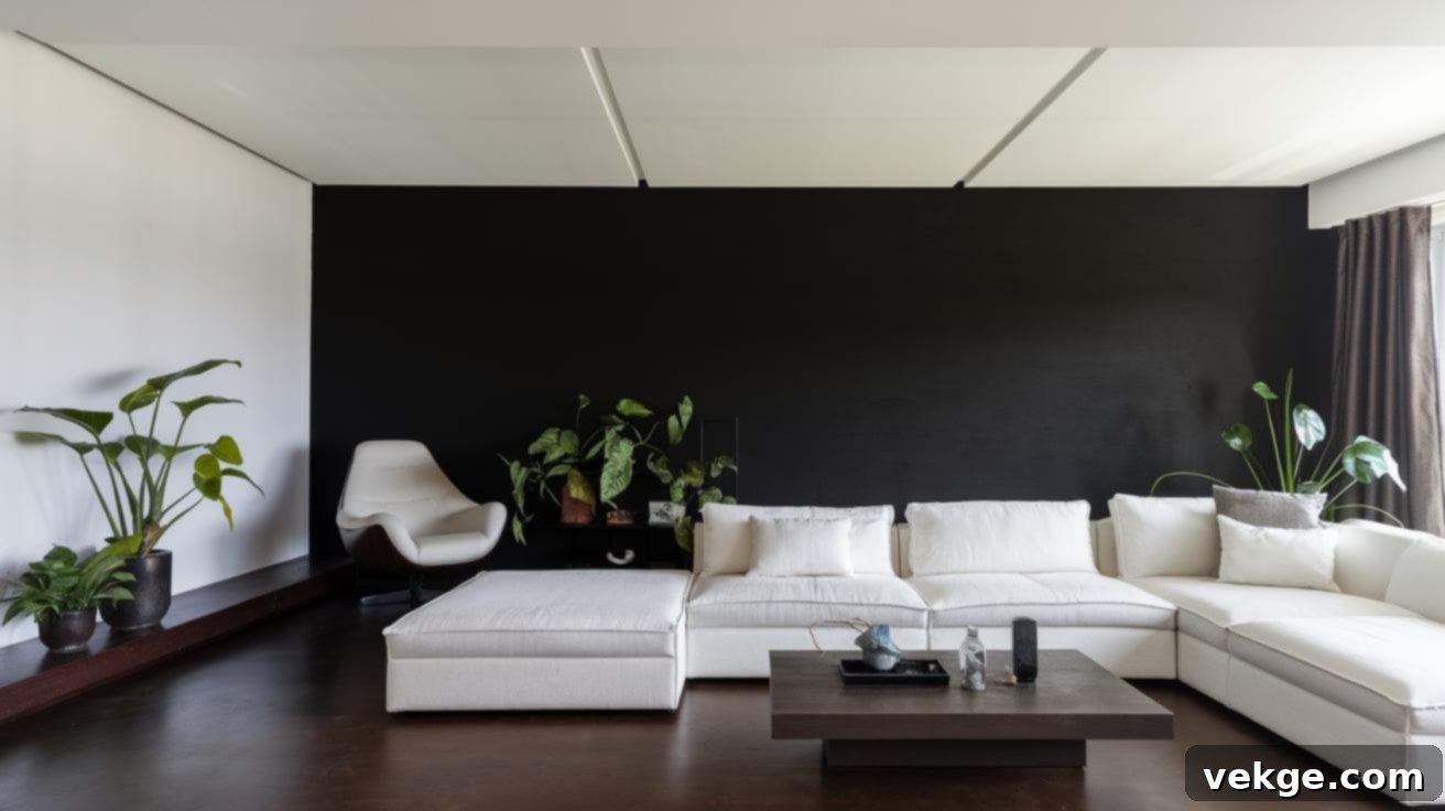 m-17_Crisp_Black__White_Contrast