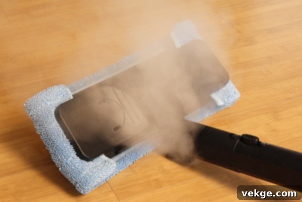 Professional Steam Cleaning Process