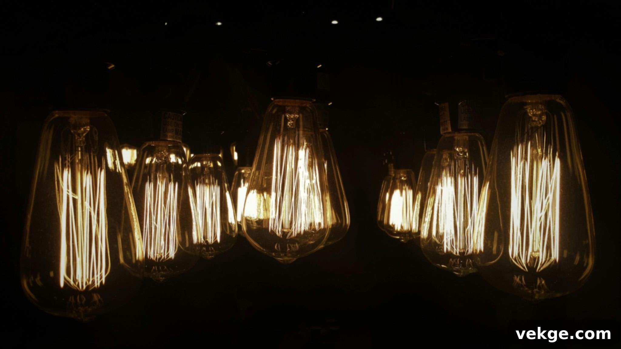 Vintage Edison Bulbs and industrial light fixtures