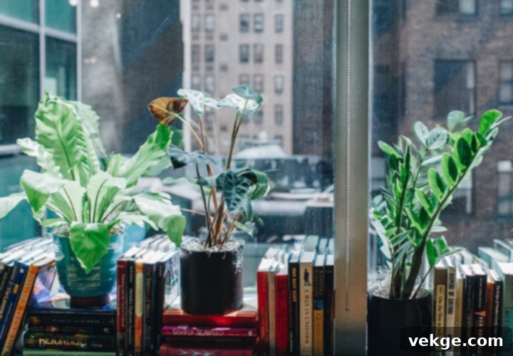 Go Green with Indoor Plants