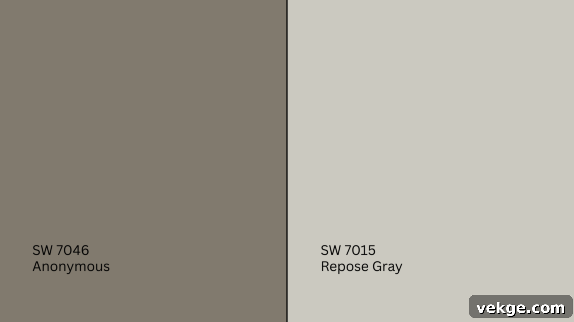 P-Anonymous_vs_Repose_Gray