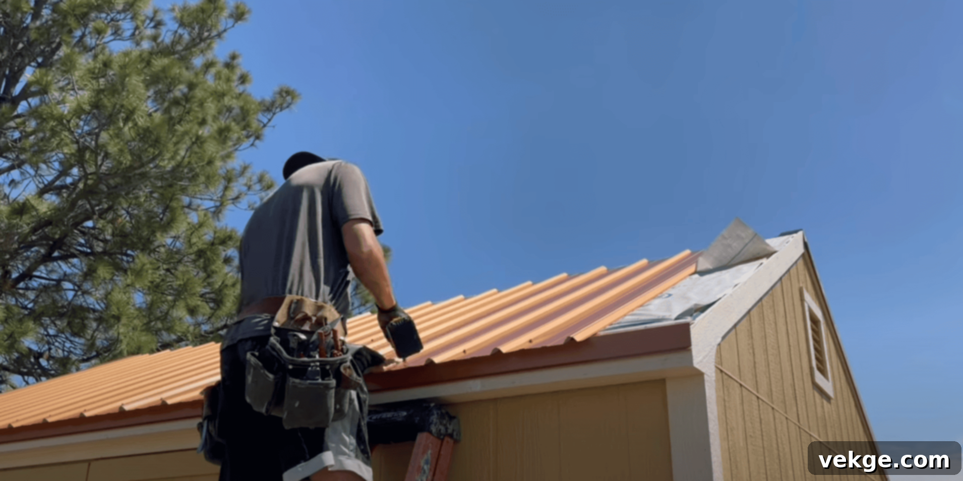 Step 5: Install the Roof and Finishing Touches for a 12x16 shed