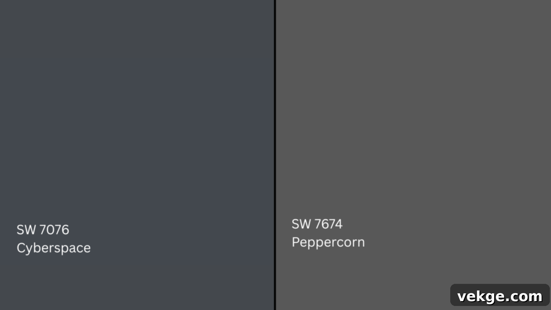 Cyberspace_vs_Peppercorn