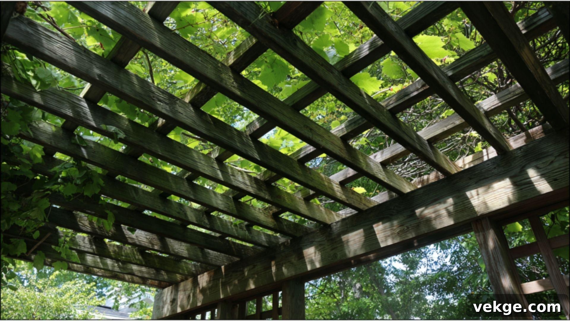 Landscape_Features_Exposed_to_the_Elements