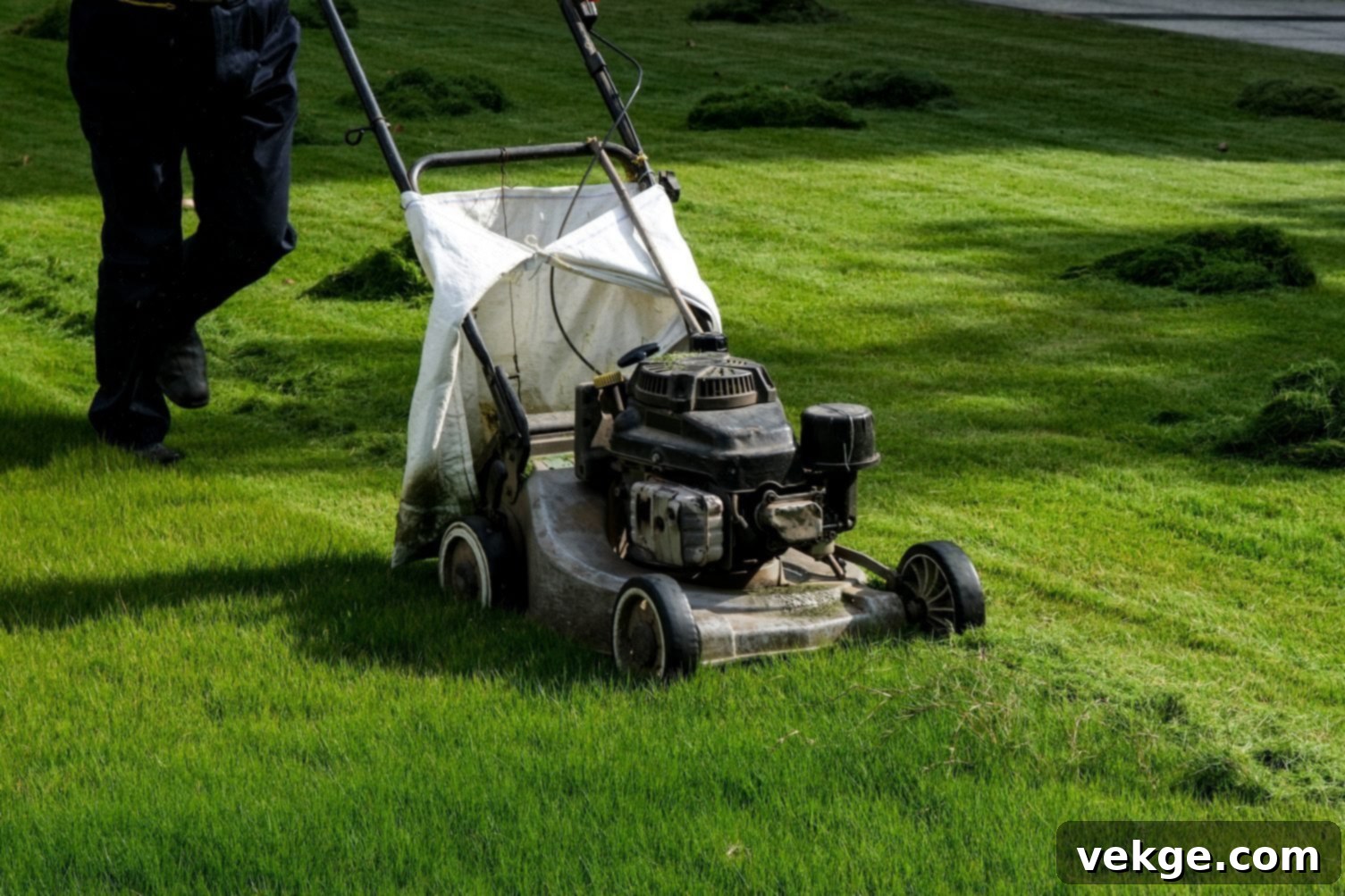 How to Keep Grass Green and Achieve a Healthy Lawn | Family Handyman