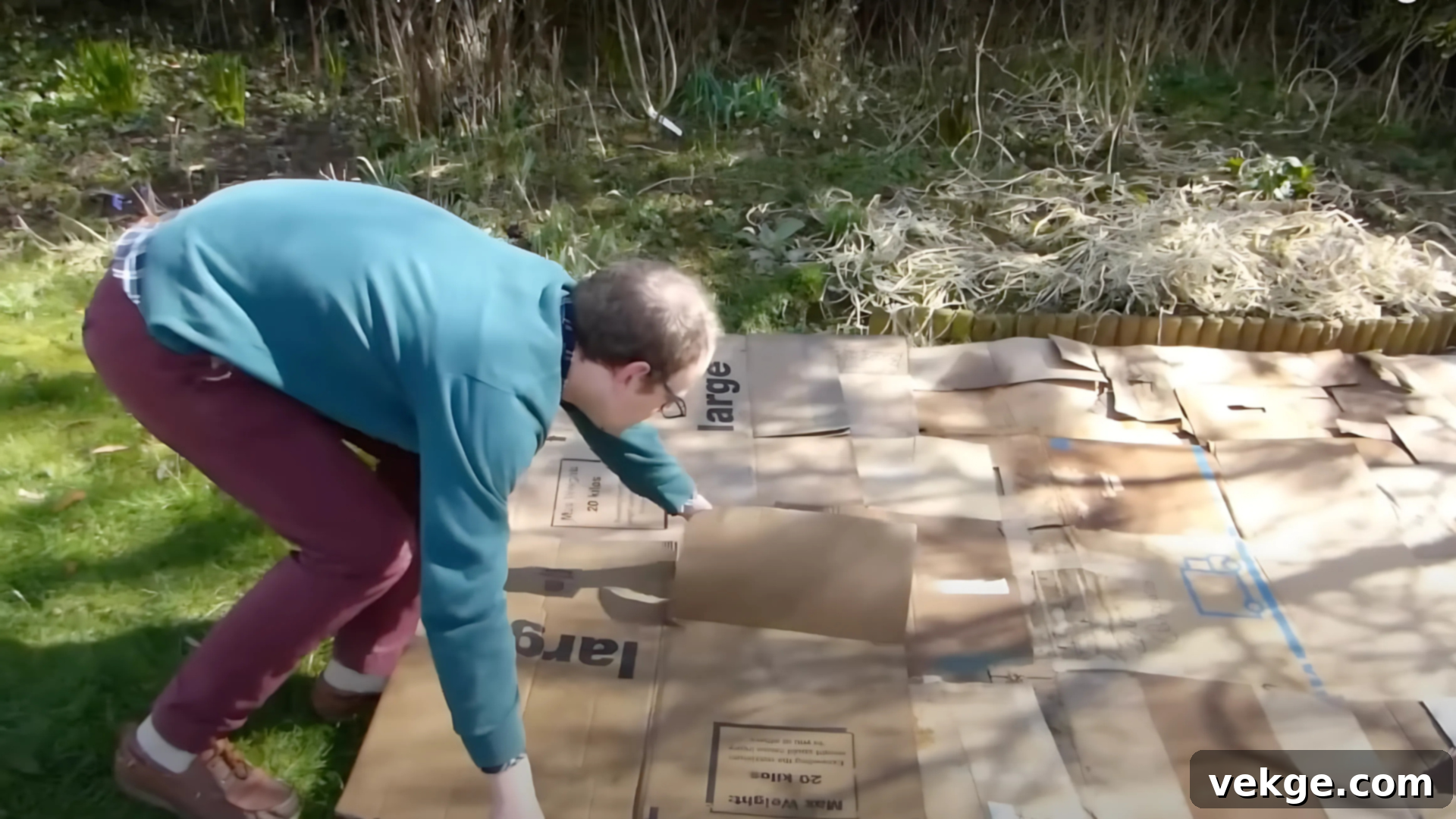 Prepare the Ground for Lasagna Gardening