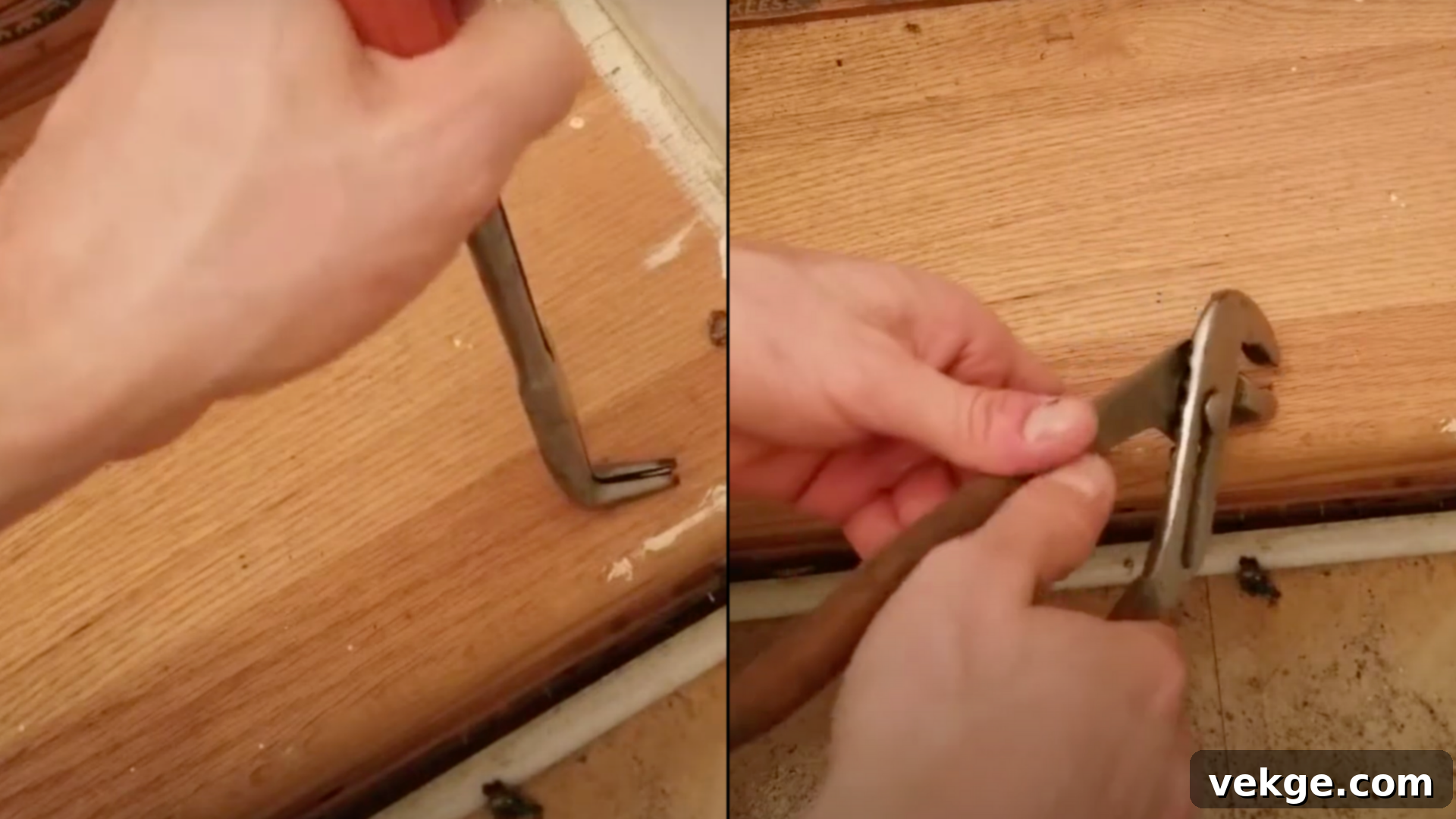 Grip the Staple