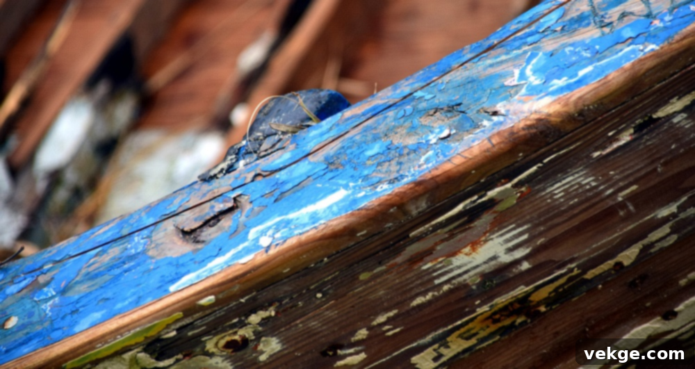 Wood Rot