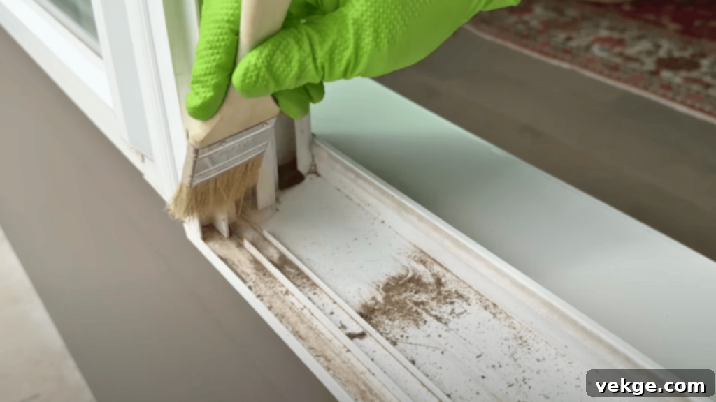 Remove Dry Debris