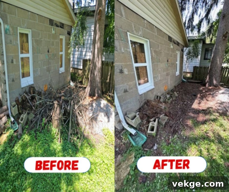 Junk Removal
