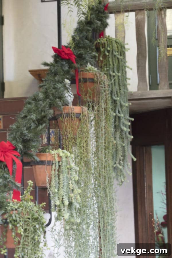 Stair decor plants