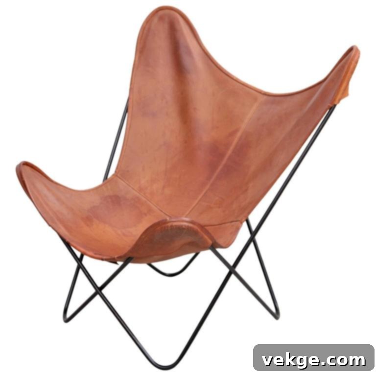 Butterfly chair