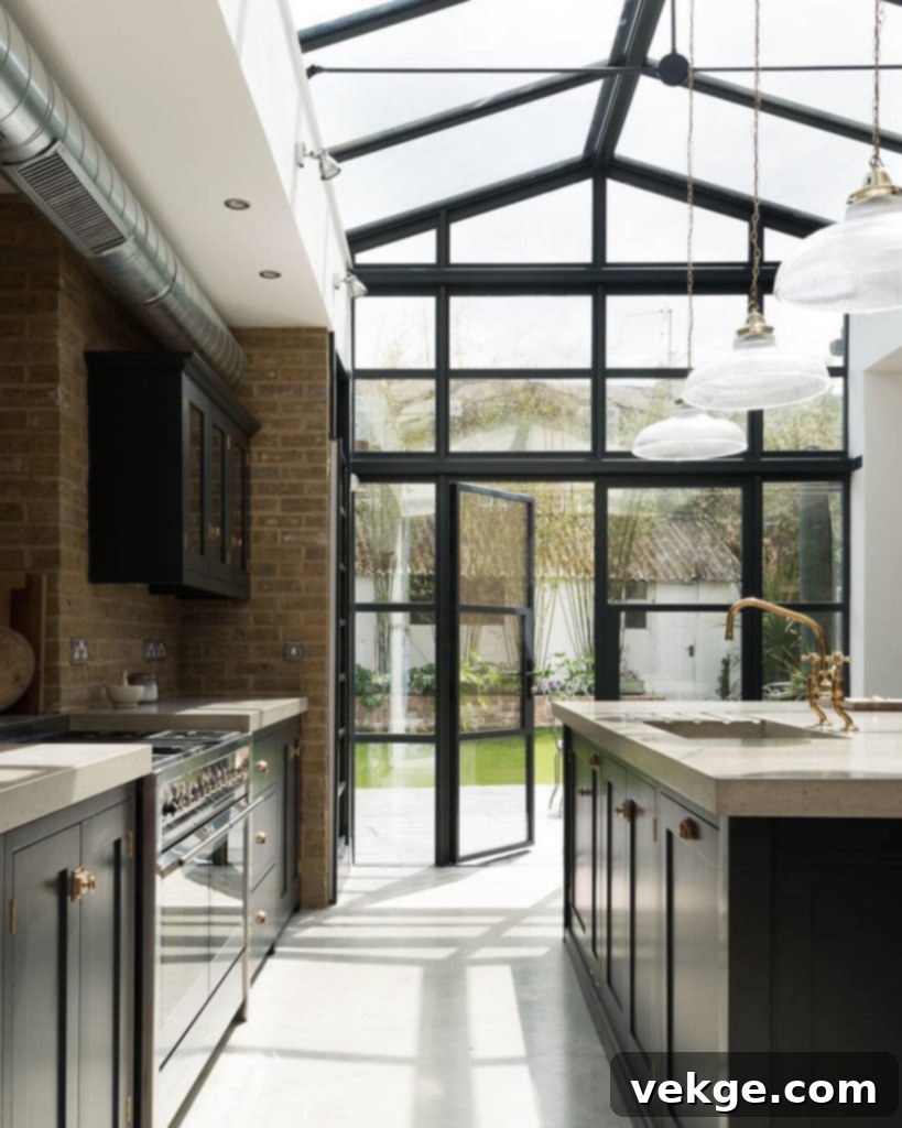 black glass doors windors home design