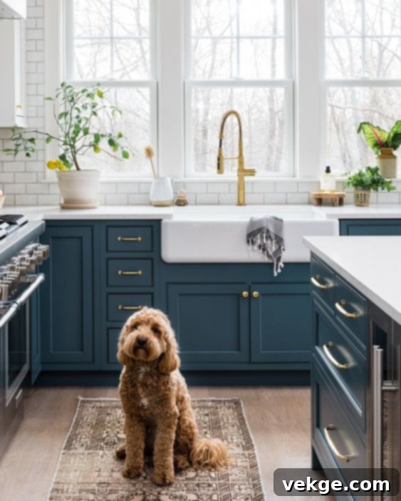 dark teal cabinets