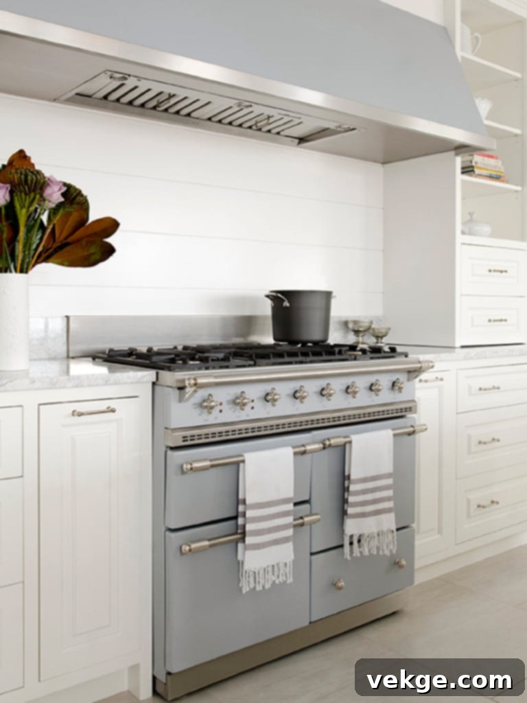 CHAGNY brushed stainless steel Lacanche range