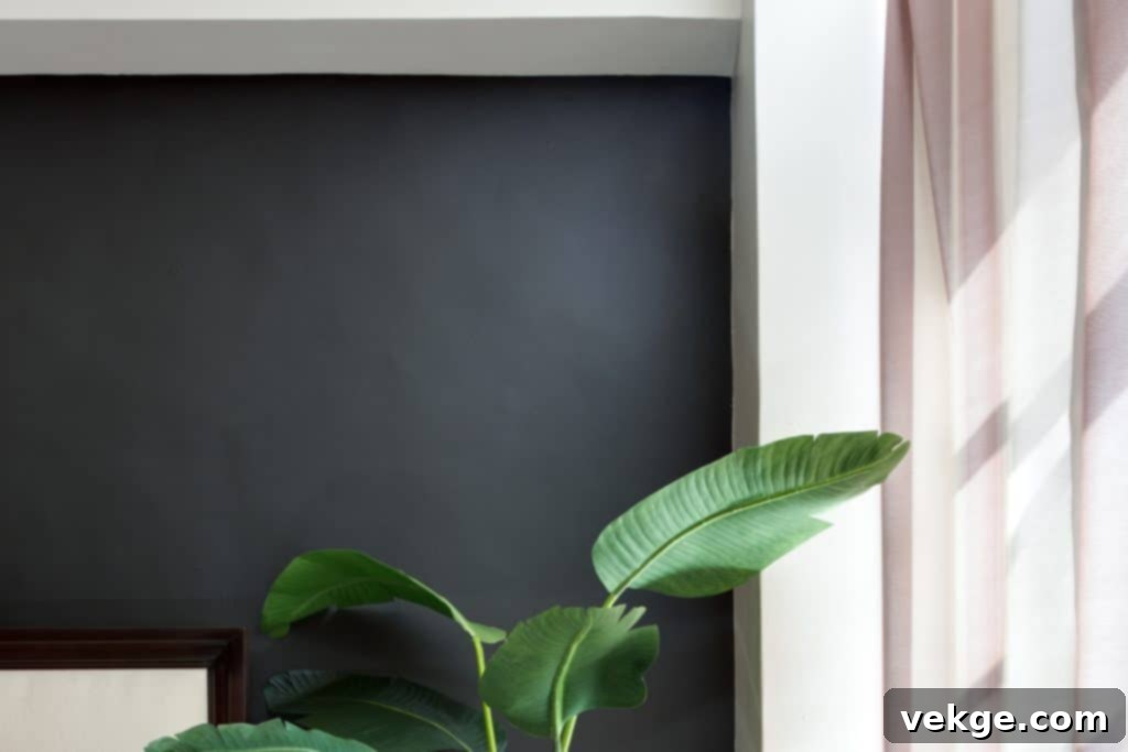 Lush indoor plants against black walls for vibrant contrast and freshness
