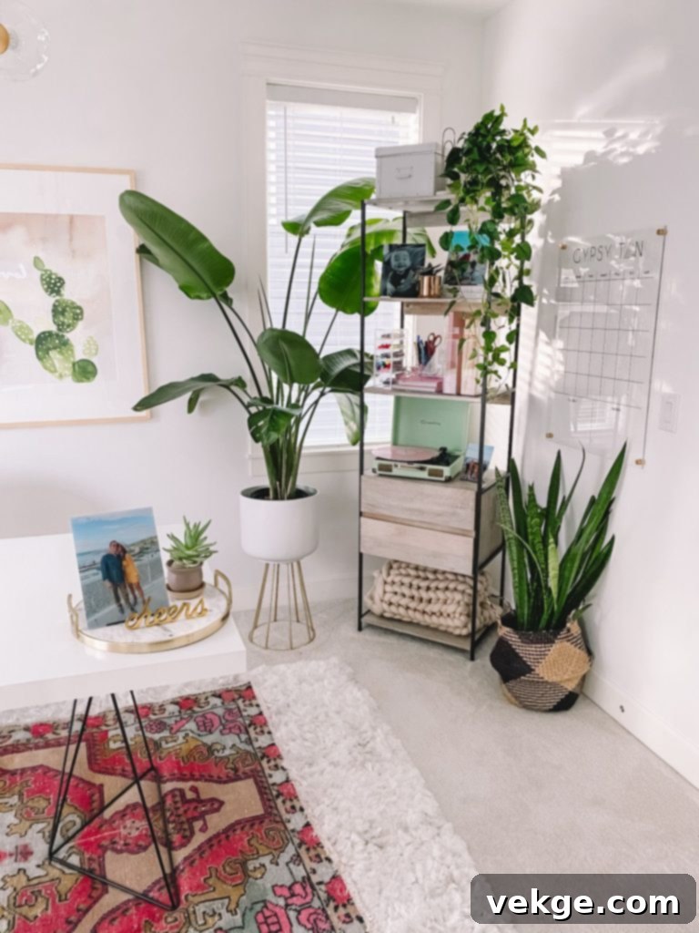 potted plants in boho office decor