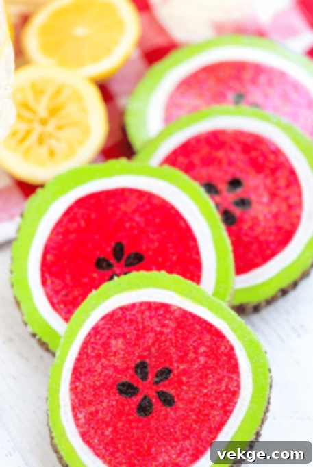 DIY Watermelon Coaster