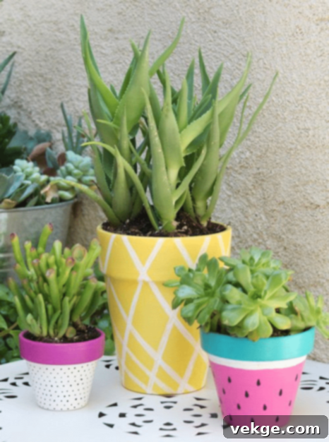 DIY Painted planters