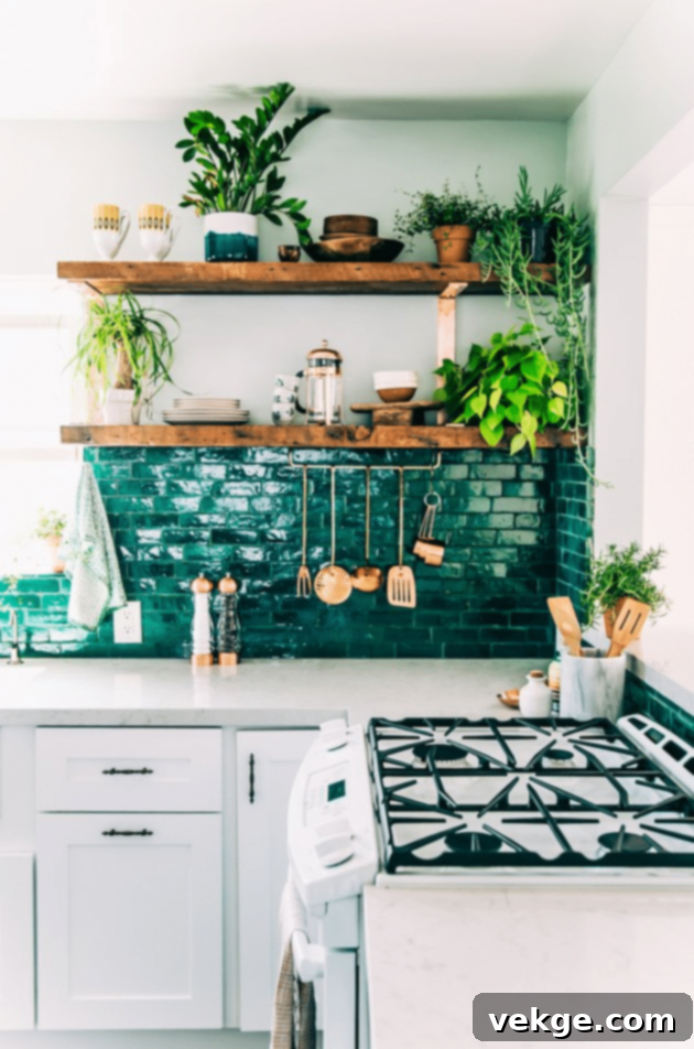 Green Plants: A bohemian kitchen adorned with various potted plants on open shelves and countertops, adding vibrant greenery.