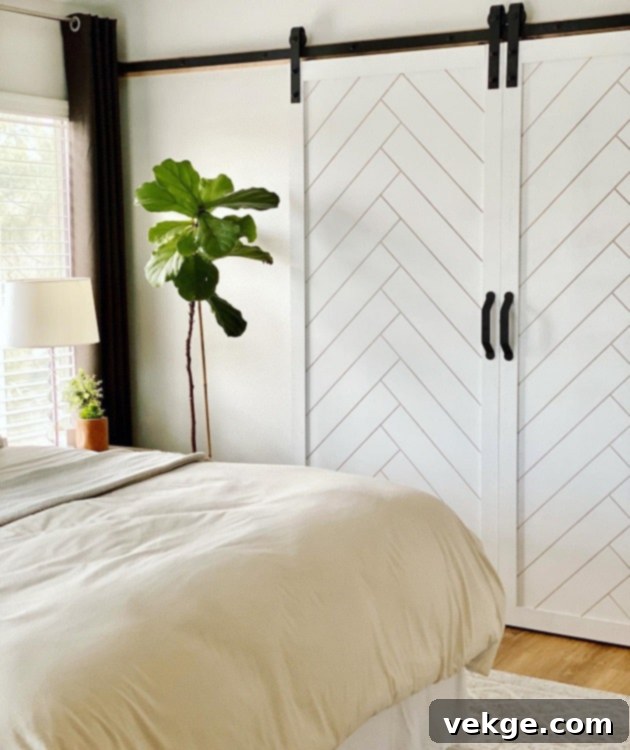 Boho Chic Room Closet Barn Door