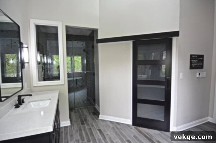 Black Bathroom Barn Door with Glass Panels