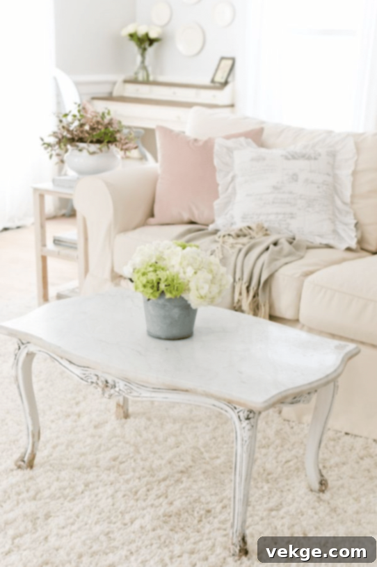 Vintage French Coffee Table in Living Room