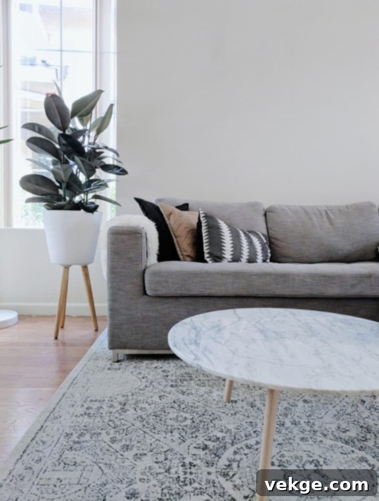 Article Soma Sofa Bed in Mid-Century Modern Style
