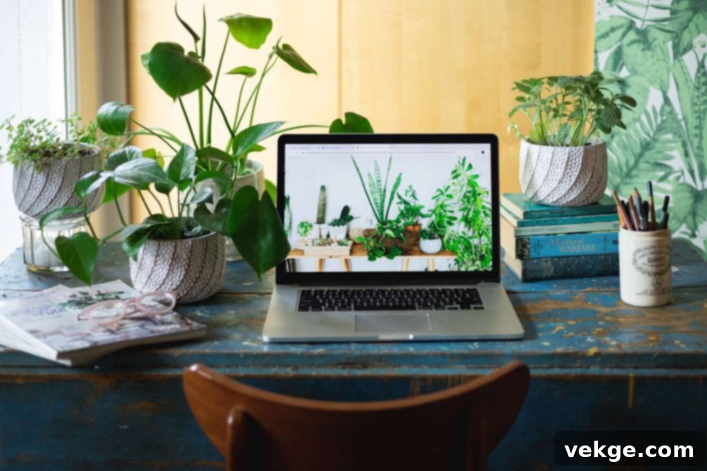 plants