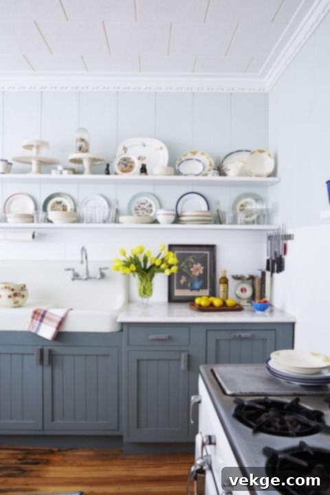 kitchen paint  colors gray