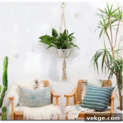 Boho plants decor