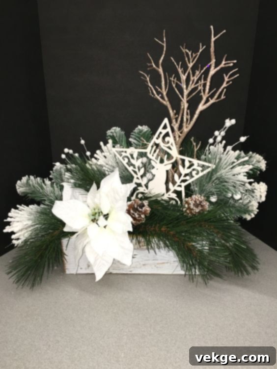 White poinsettia
