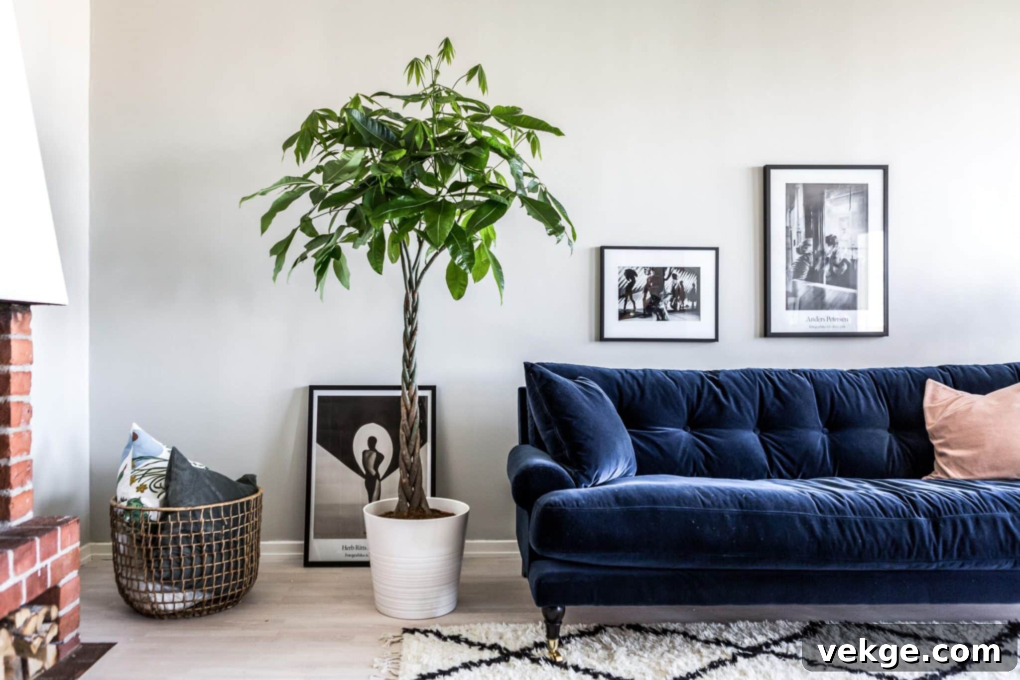 Nature to the Living Room