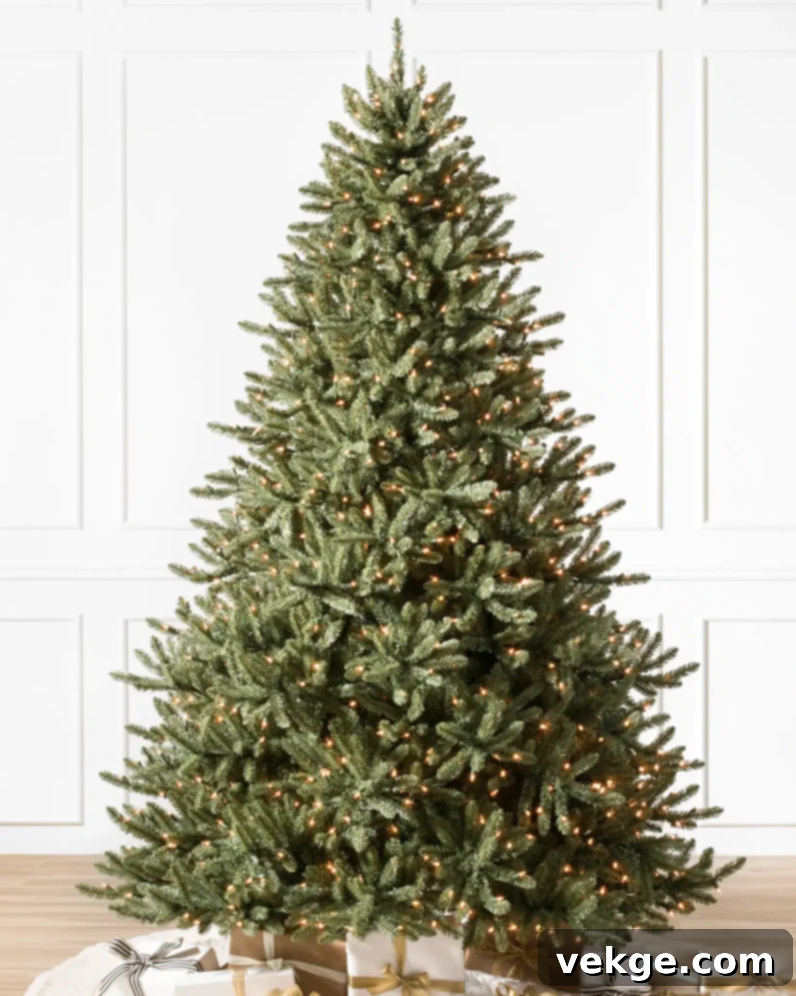 classic blue spruce 