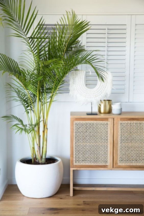 Indoor palm plant in a bedroom corner, enhancing a tropical coastal feel