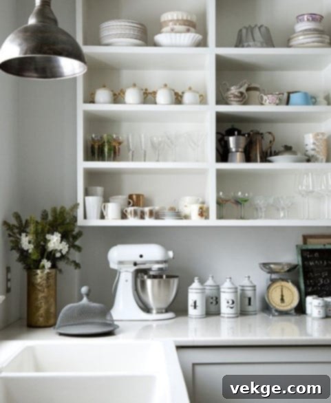 Modern Open Shelving Kitchen with Dividers