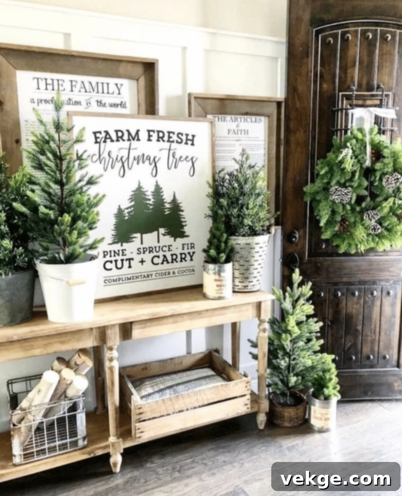 Fresh Christmas Trees