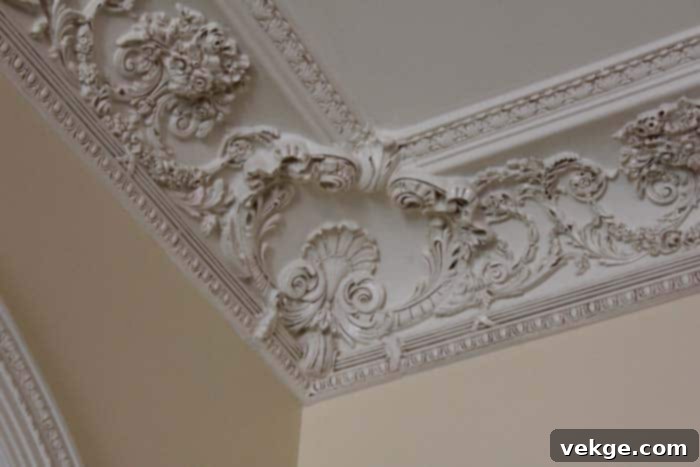 Walls With Intricate Moulding