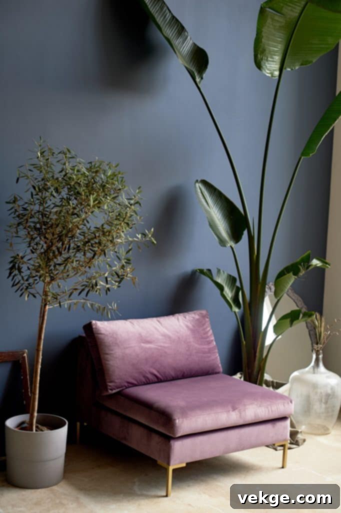 Purple chair against a dark blue wall Plants in tubs