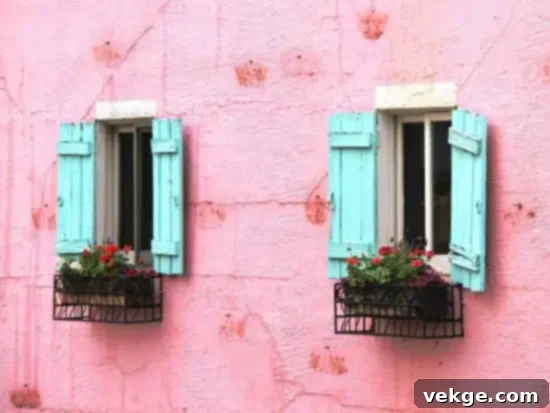 the pink house of paju 